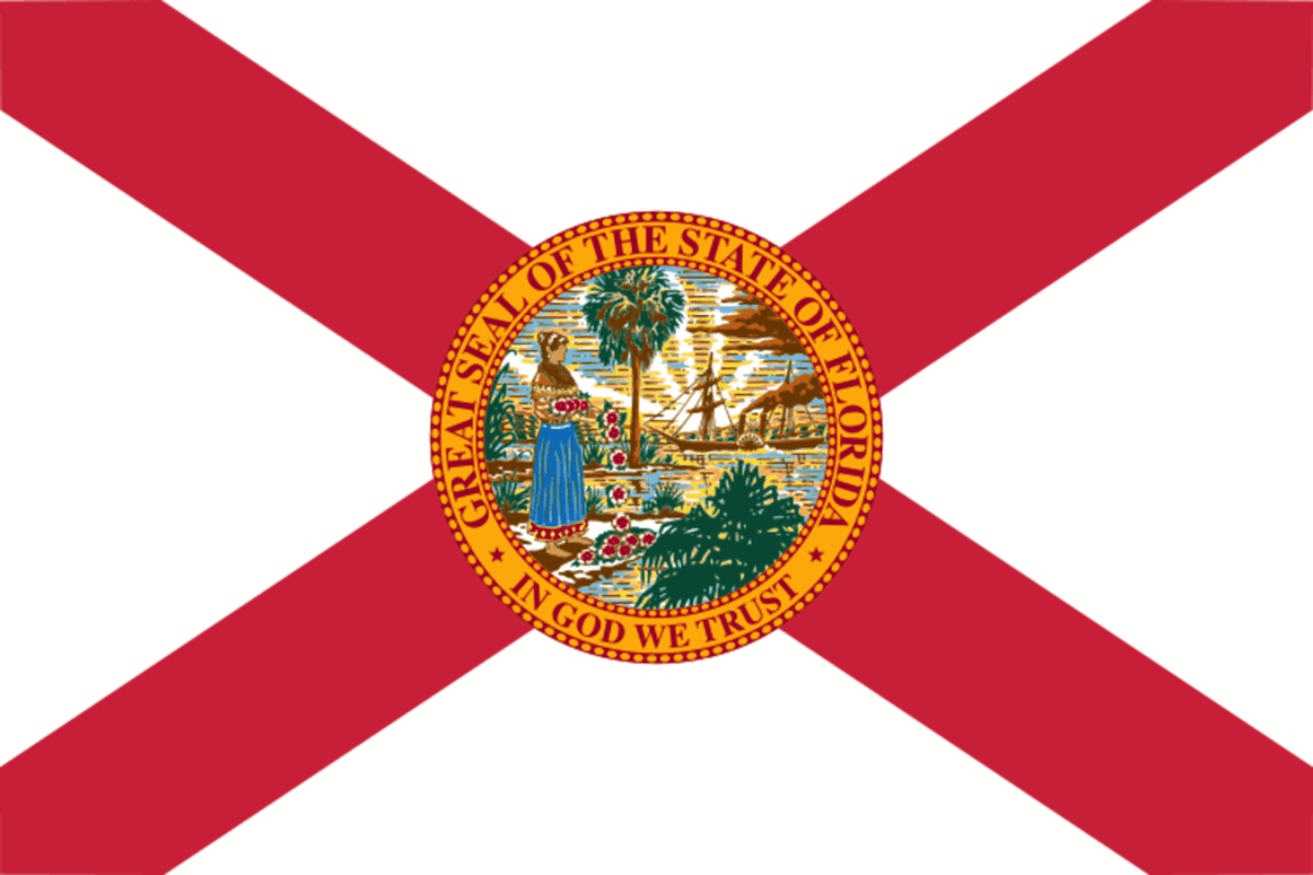 Florida Pharmacy Technician License Info 2022 Update 